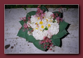 Kliknite za pove�avo slike